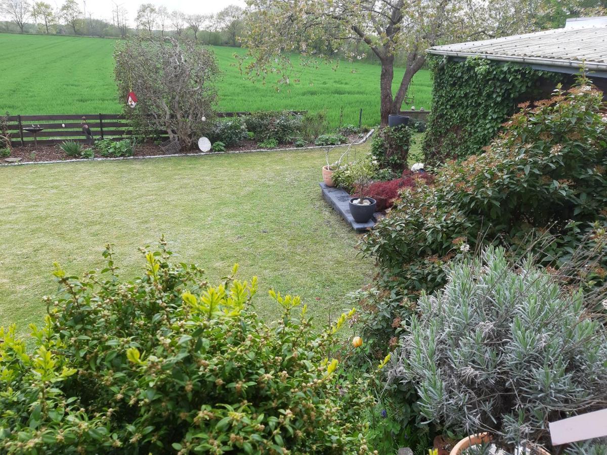 Ferienwohnung Nesthaekchen Hanerau-Hademarschen Dış mekan fotoğraf