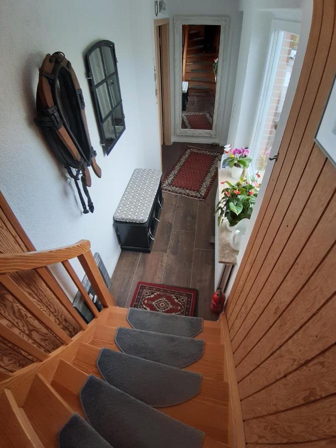 Ferienwohnung Nesthaekchen Hanerau-Hademarschen Dış mekan fotoğraf